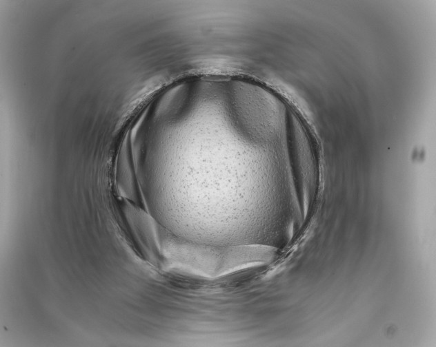 X0000090760105200708101756