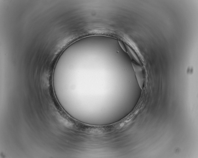 X0000090760106200708101756