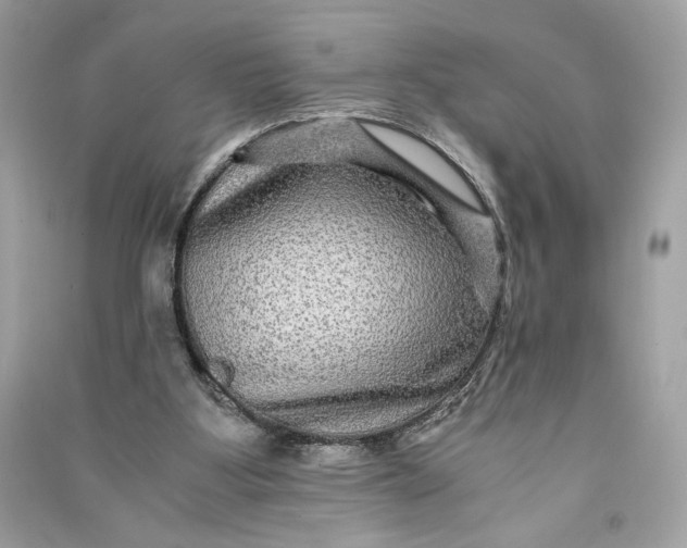 X0000090760107200708101756