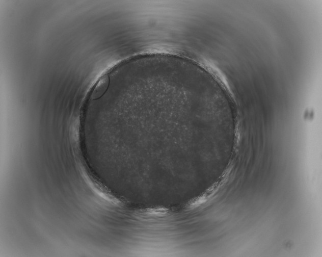 X0000090760108200708101756