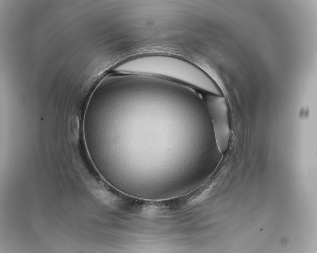 X0000090760109200708101756