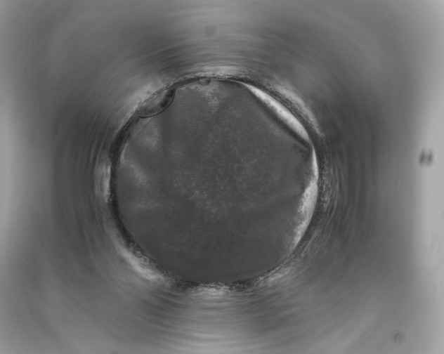 X0000090760110200708101756