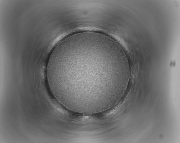 X0000090760111200708101756