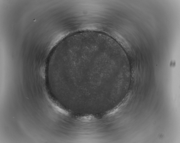 X0000090760112200708101756