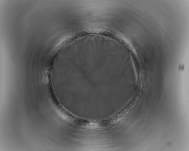 X0000090760114200708101756