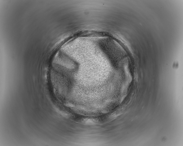 X0000090760115200708101756