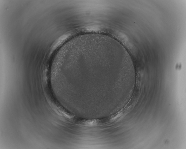 X0000090760116200708101756