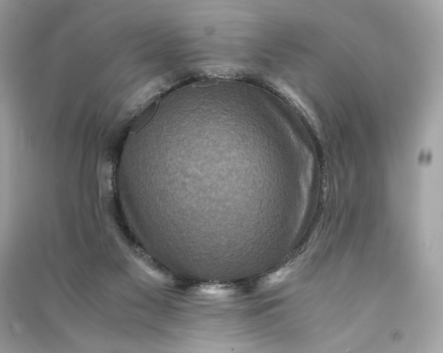 X0000090760117200708101756