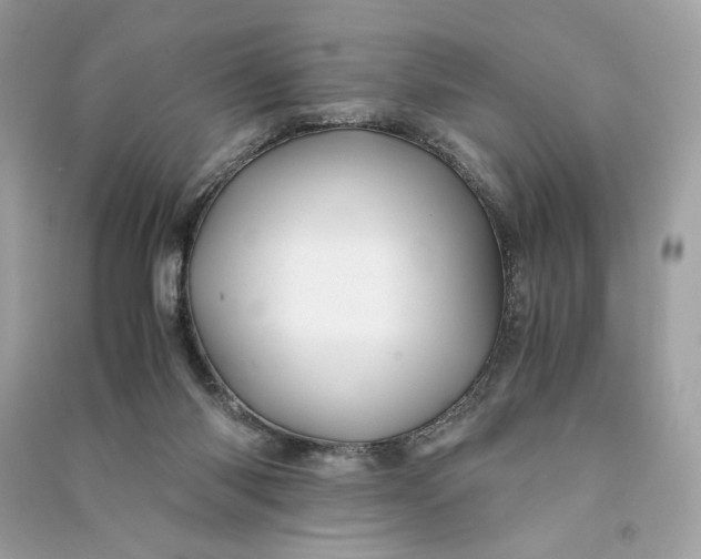 X0000090760118200708101756