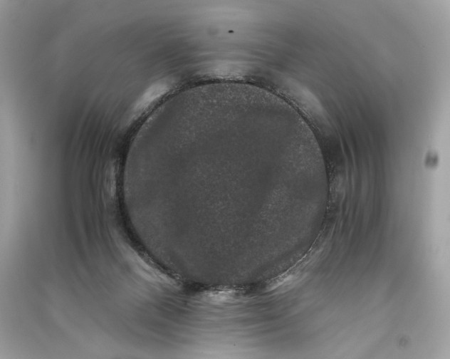 X0000090760120200708101756