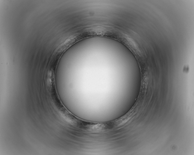 X0000090760122200708101756