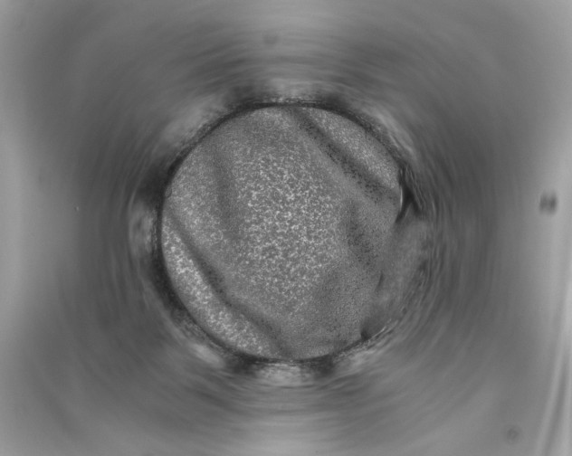 X0000090760123200708101756