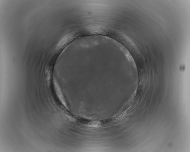 X0000090760124200708101756