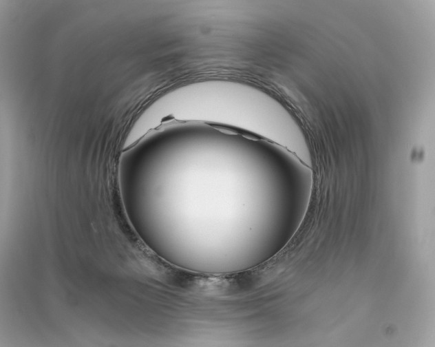 X0000090760125200708101756