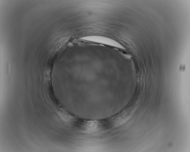 X0000090760127200708101756