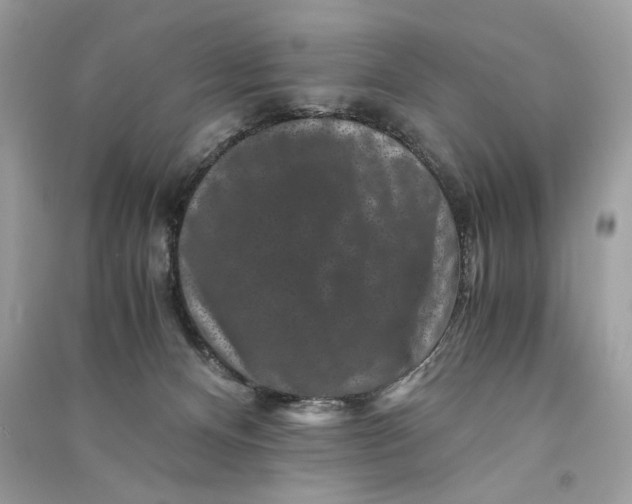 X0000090760128200708101756