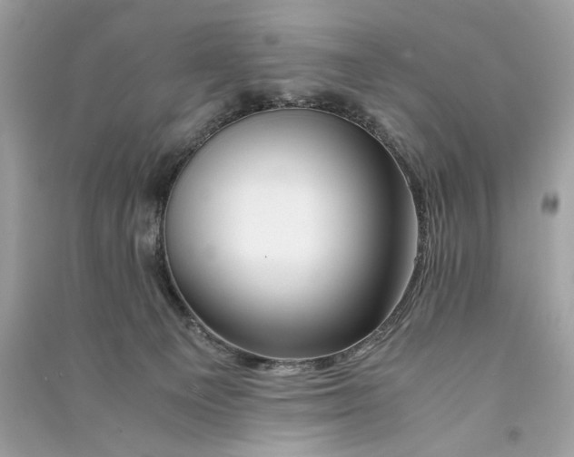 X0000090760129200708101756