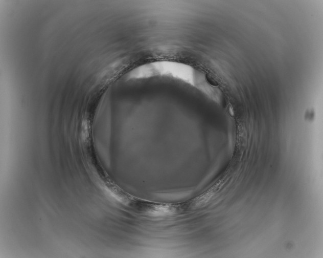 X0000090760130200708101756