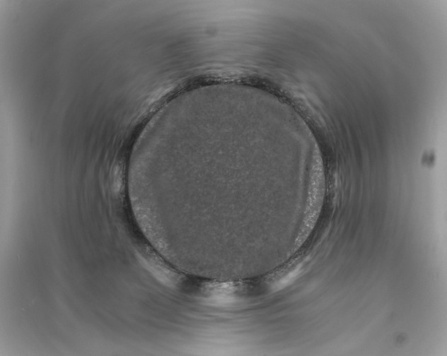 X0000090760131200708101756