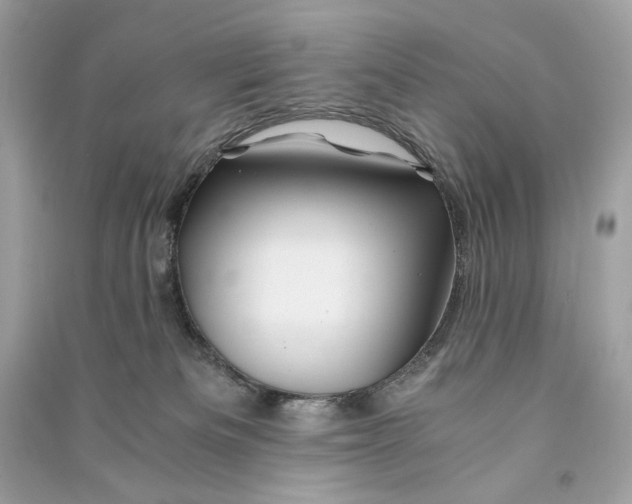 X0000090760133200708101756