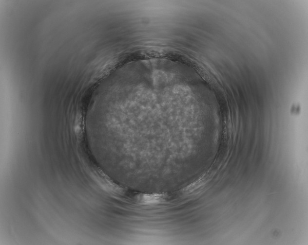 X0000090760134200708101756