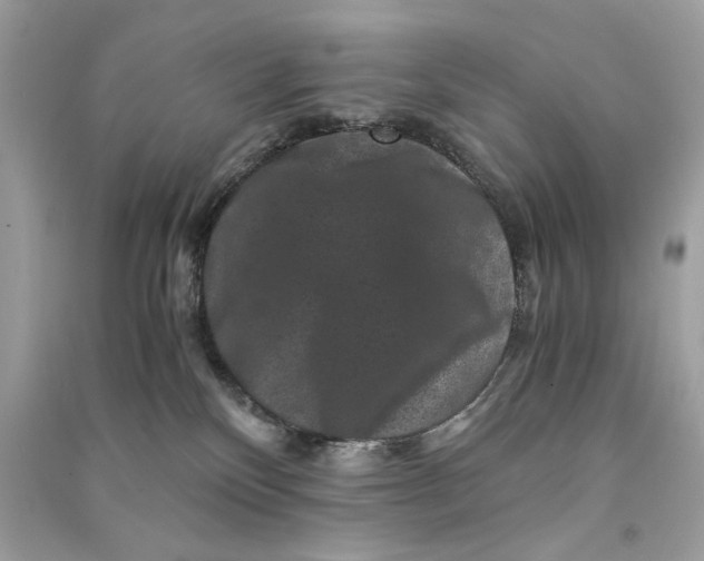 X0000090760136200708101756