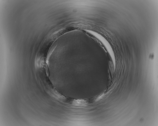 X0000090760137200708101756