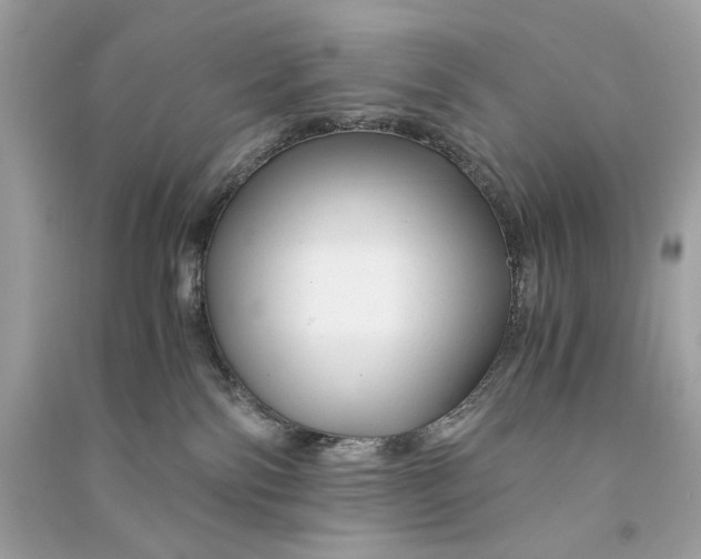 X0000090760138200708101756