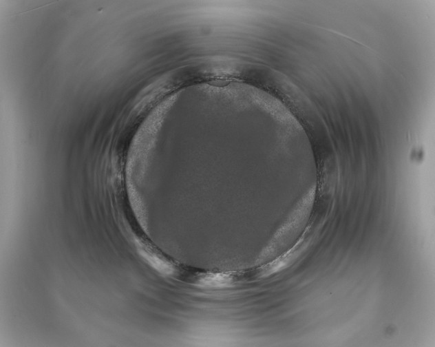 X0000090760140200708101756