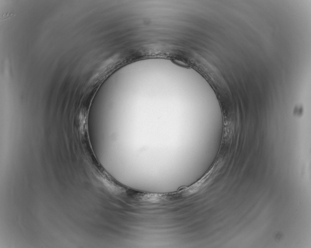 X0000090760142200708101756