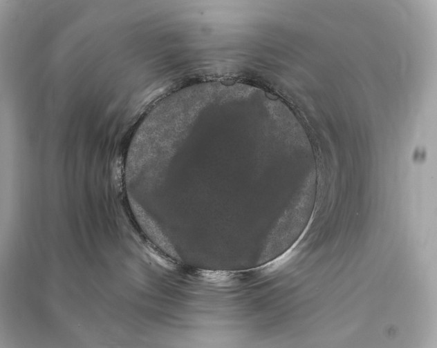 X0000090760144200708101756