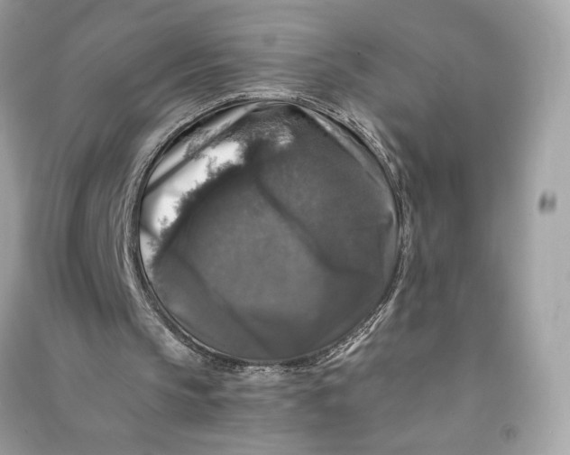 X0000090760145200708101755