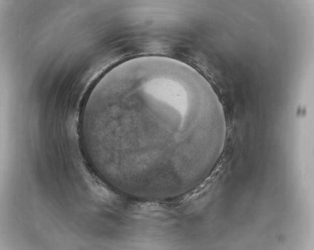 X0000090760146200708101755