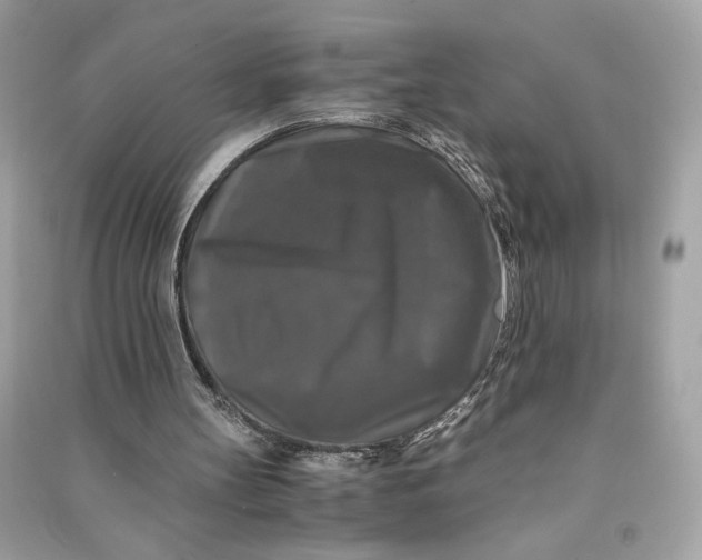 X0000090760147200708101755