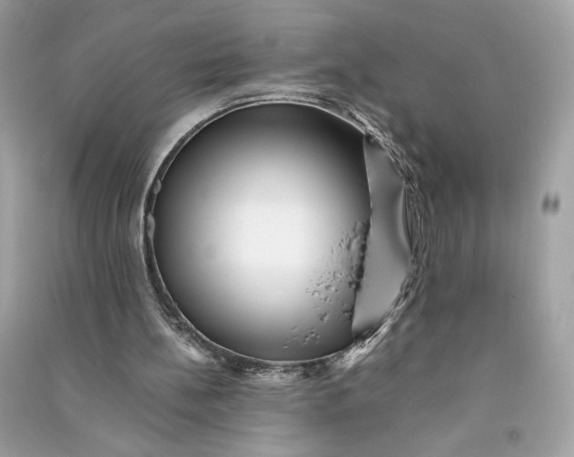 X0000090760148200708101755