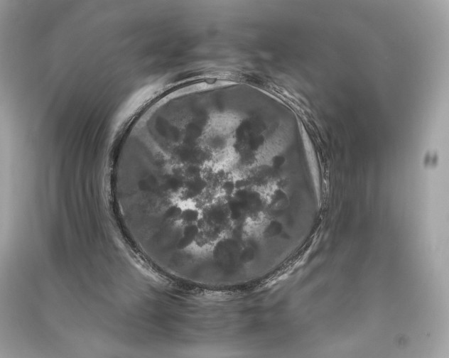 X0000090760149200708101755