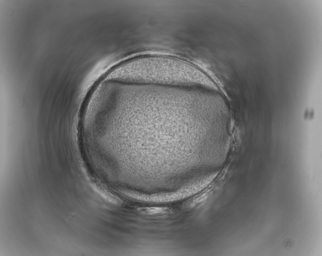 X0000090760151200708101755