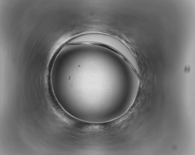 X0000090760152200708101755