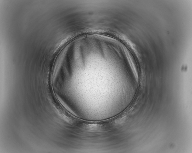 X0000090760153200708101755