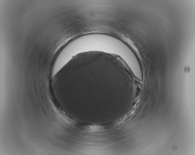 X0000090760154200708101755