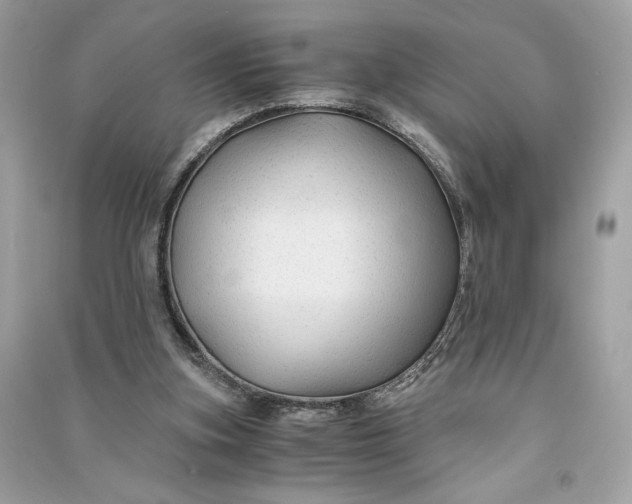 X0000090760155200708101755