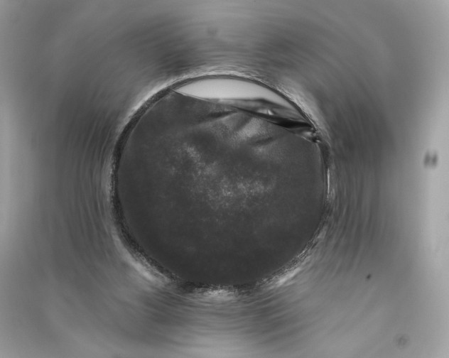 X0000090760156200708101755