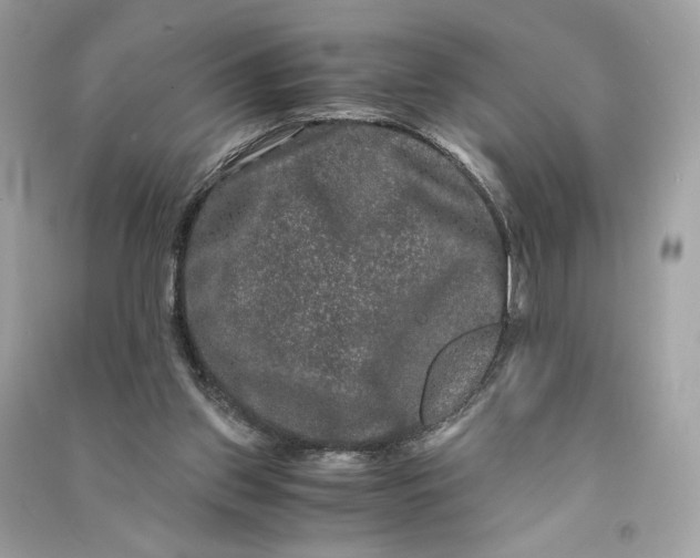 X0000090760157200708101755