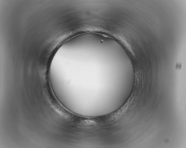 X0000090760159200708101755