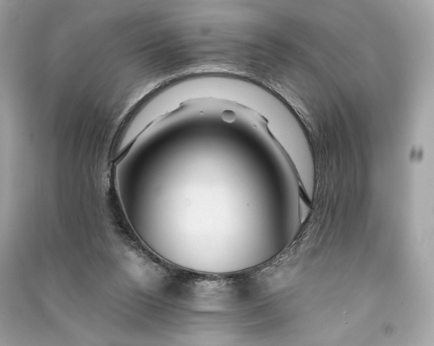 X0000090760160200708101755