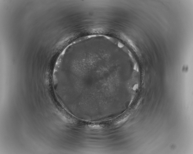 X0000090760161200708101755