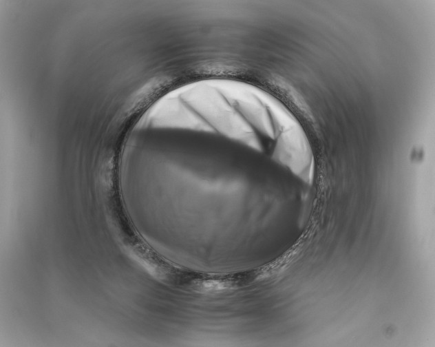 X0000090760163200708101755