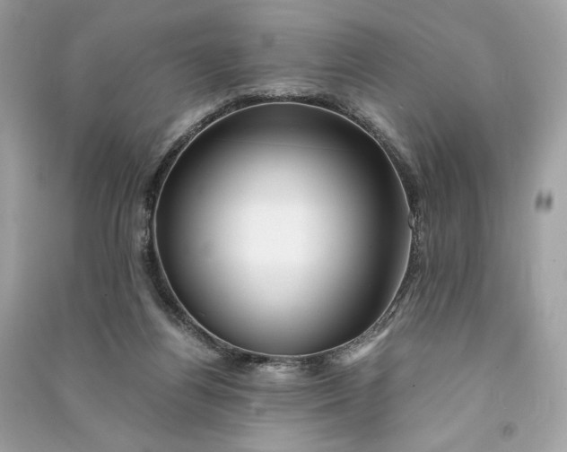 X0000090760164200708101755