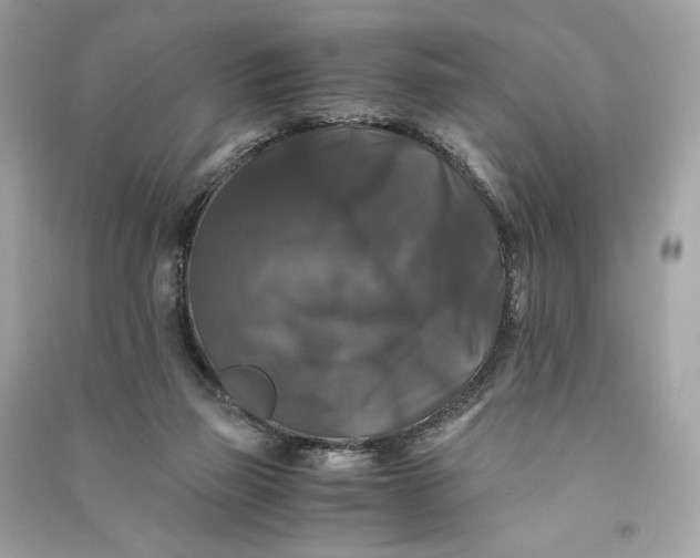 X0000090760165200708101755