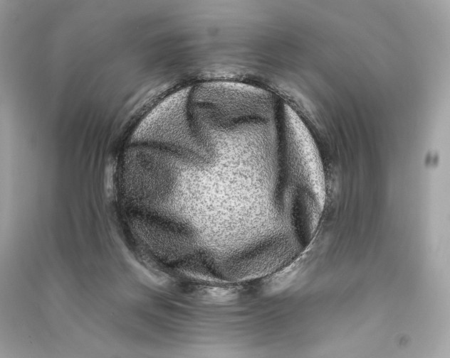 X0000090760166200708101755